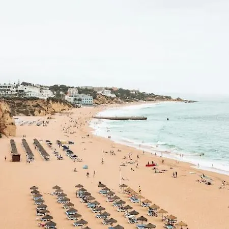 Daire Garrett By Mtphomes