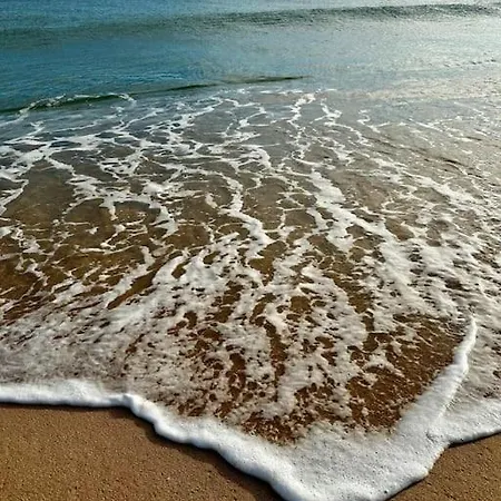 Garrett By Mtphomes Daire